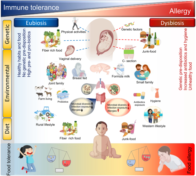 Microbial Dysbiosis Tunes the Immune Response Towards Allergic Disease Outcomes.