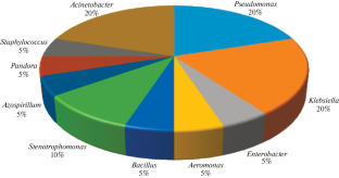 Identification of PCBs Degrading Bacterial Strains in Zhanjiang Mangrove Sediments