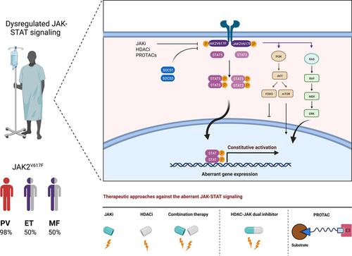 Pharmacological Modulation of the Crosstalk between Aberrant Janus Kinase Signaling and Epigenetic Modifiers of the Histone Deacetylase Family to Treat Cancer.