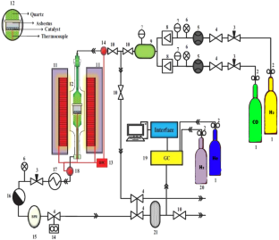 Kinetic modeling of Fischer–Tropsch synthesis in the presence of Sn promoted Co/γ-Al2O3 catalyst