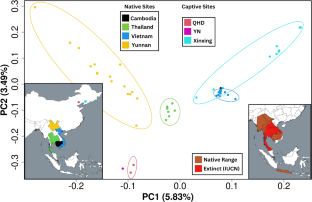 Conservation implications of diverse demographic histories: the case study of green peafowl (Pavo muticus, Linnaeus 1766)