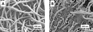 A multi-walled carbon nanotubes-based molecular imprinting electrochemical sensor for the detection of Aspartame in sports beverage