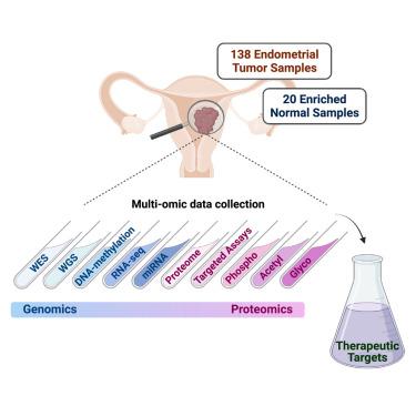 Proteogenomic insights suggest druggable pathways in endometrial carcinoma.