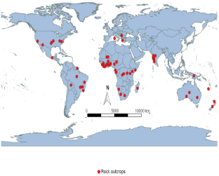 Indian rock outcrops: review of flowering plant diversity, adaptations, floristic composition and endemism