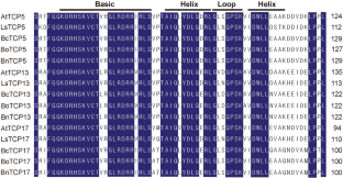 Overexpression of lettuce TEOSINTE BRANCHED1/CYCLOIDEA/PCF (TCP) transcription factor genes (LsTCP13 and LsTCP17) promotes flowering time through upregulation of AtFT and AtAP1 in Arabidopsis