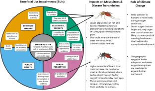 Ecological Degradation and the Risk of Mosquito-Borne Disease in the Great Lakes Basin.