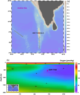 Glacial-interglacial differences in carbonate burial in the equatorial Indian Ocean