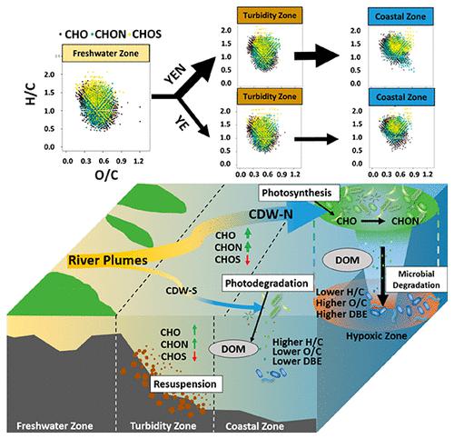 Differences in Dissolved Organic Matter Molecular Composition along Two Plume Trajectories from the Yangtze River Estuary to the East China Sea