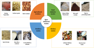 Sustainable Bioconversion of Industrial Wastes into Bacterial Cellulose for Diverse Applications: A Way Towards Pollution Control and Abatement