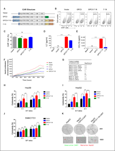 GPC3-IL7-CCL19-CAR-T primes immune microenvironment reconstitution for hepatocellular carcinoma therapy.