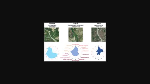 Leading the path toward sustainable freshwater management: Reconciling challenges and opportunities in historical, hybrid, and novel ecosystem types