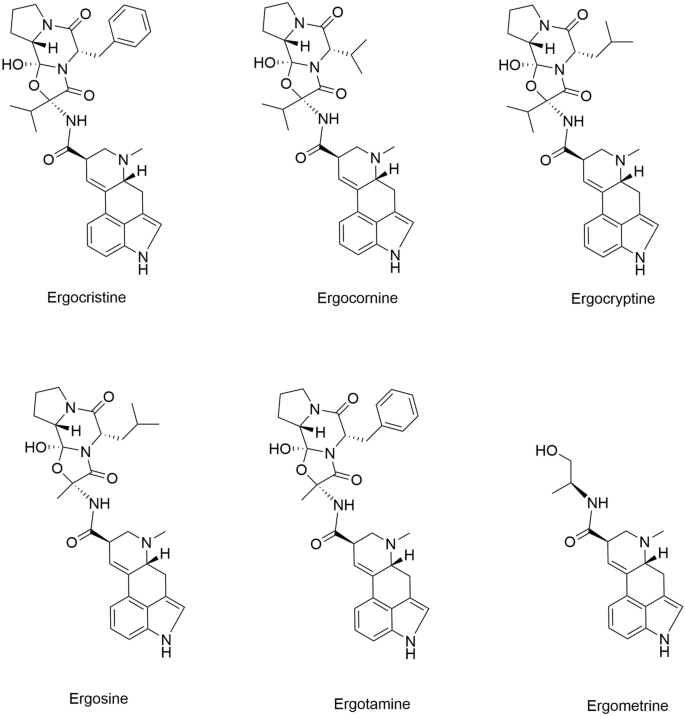 The C-8-S-isomers of ergot alkaloids - a review of biological and analytical aspects.