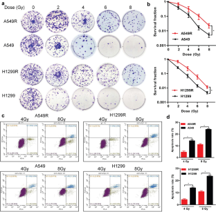 GALNT2, an O-glycosylating enzyme, is a critical regulator of radioresistance of non-small cell lung cancer: evidence from an integrated multi-omics analysis.