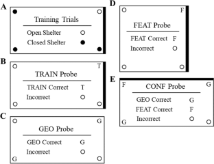 Investigating boundary-geometry use by whip spiders (Phrynus marginemaculatus) during goal-directed navigation.