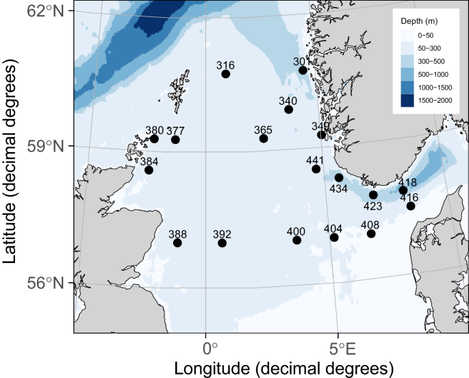 Mock samples resolve biases in diversity estimates and quantitative interpretation of zooplankton metabarcoding data