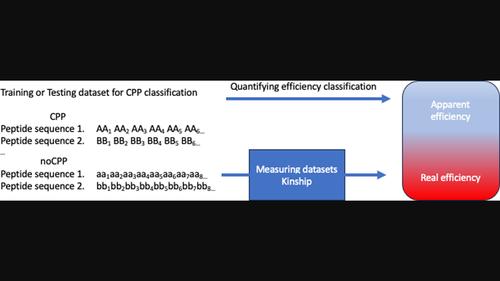 Cell-penetrating peptides predictors: A comparative analysis of methods and datasets.