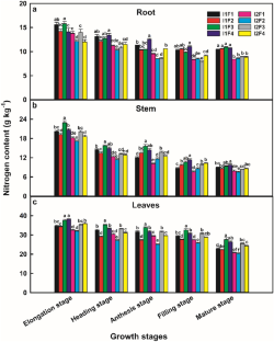 Effects of water and fertilizer coupling on photosynthetic performance of flag leaves and plant nutrient utilization after anthesis of wheat