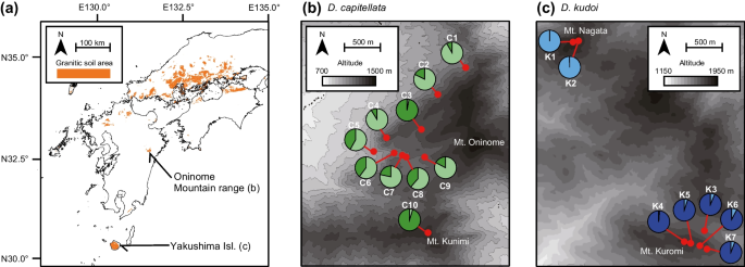 Demographic history and conservation aspects of two relict shrubs (Daphnimorpha spp., Thymelaeaceae) showing disjunct and restricted distribution in the southern part of Japan