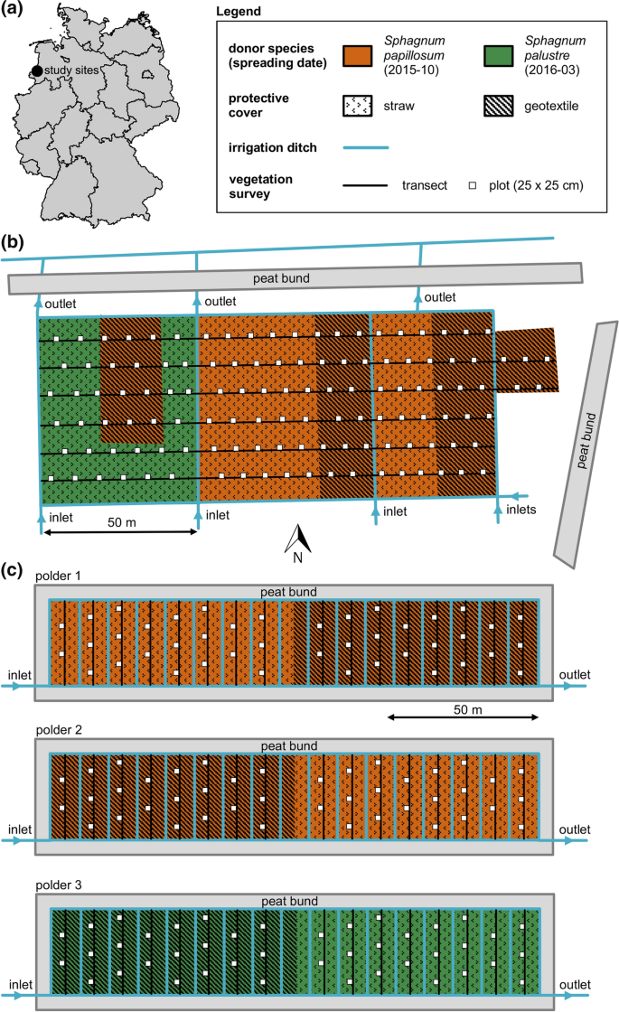 Factors influencing the establishment of vascular plants at Sphagnum cultivation sites