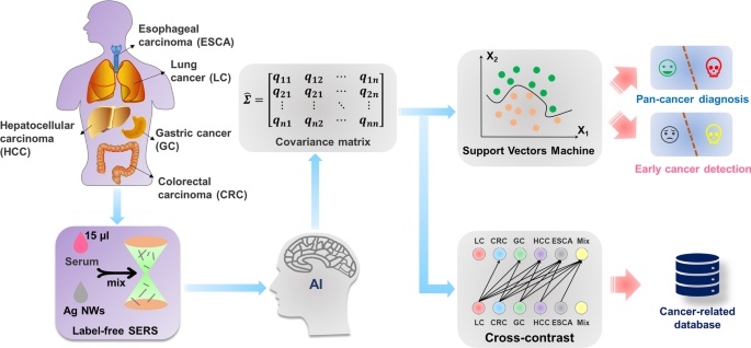 Early cancer detection by serum biomolecular fingerprinting spectroscopy with machine learning