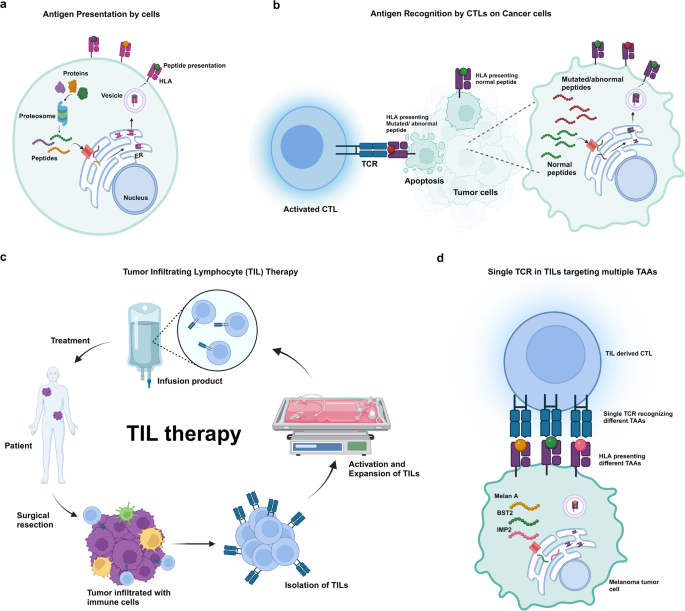 Swiss army knife T cell: one T cell many tumor targets