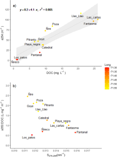 Heterogeneity in the dissolved organic matter features as expression of precipitation gradient in seasonal wetlands in austral forest of Patagonia