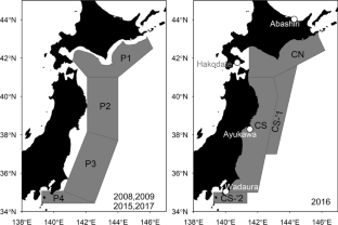 Estimating the abundance of Baird’s beaked whales in waters off the Pacific coast of Japan using line transect data (2008–2017)