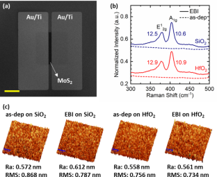 Contact and Interface Engineering of MoS2-Based Photodetectors Using Electron-Beam Irradiation