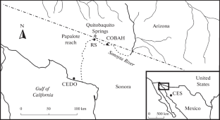 Genetic Evaluation of the Refuge Program for Sonoyta Pupfish Cyprinodon eremus (Cyprinodontidae) in Mexico