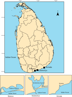 Coastal protection function of mangrove ecosystems: a case study from Sri Lanka