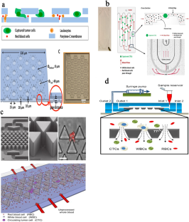 Comparative application of microfluidic systems in circulating tumor cells and extracellular vesicles isolation; a review