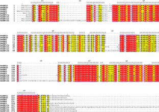 Characterization of 14-3-3 gene family and their expression patterns under abiotic and biotic stresses in melon (Cucumis melo L.)