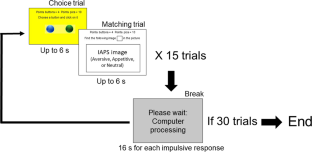 “Wait and See”: Effects of Matching Visual Stimulation on Impulsive Behavior during an Adaptation of Flora et al.’s (1992) Choice Task