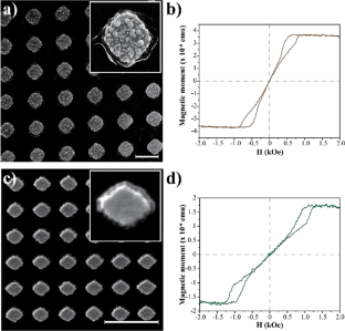 Elucidating Mechanotransduction Processes During Magnetomechanical Neuromodulation Mediated by Magnetic Nanodiscs.