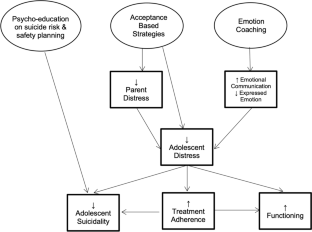 Acceptance-Based Parent Training Intervention for Youths with Co-occurring Psychotic Symptoms and Suicidal Behaviors: a Case Series from an Open Trial