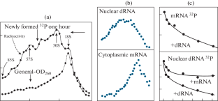 Investigating the Structural Organization and Expression of the Animal GenomeReport of the 2021 Laureate of the Lomonosov Grand Gold Medal of the Russian Academy of Sciences