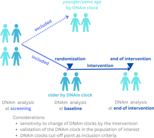 Targeting the epigenetically older individuals for geroprotective trials: the use of DNA methylation clocks.