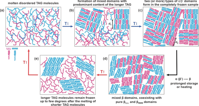 Solid–Liquid Phase Transitions of Triglycerides in Griebenschmalz, Smalec, and Fedt Studied Using 13C Solid-State NMR with Dynamics-Based Spectral Filtering