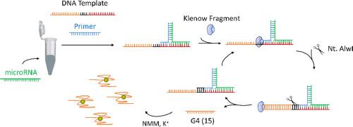 High specific microRNA detection based on G-quadruplex sensitive fluorescence under isothermal amplification