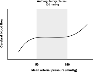 Quantification of dynamic cerebral autoregulation: welcome to the jungle!