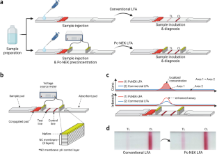 Low-Powered pH-Stable Nano-electrokinetically Enhanced Lateral Flow Assay for COVID-19 Antigen Test