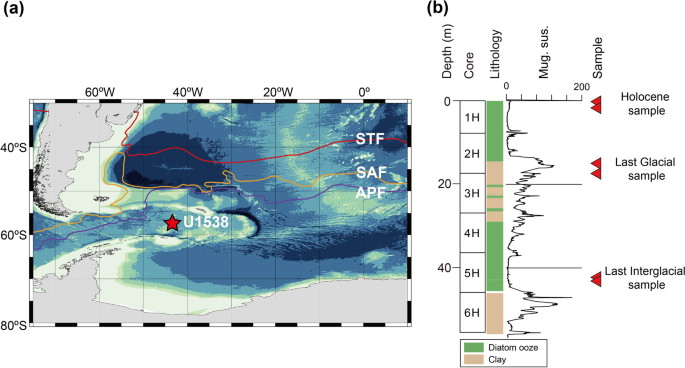 A simple method for taxon-specific purification of diatom frustules from ocean sediments using a cell sorter