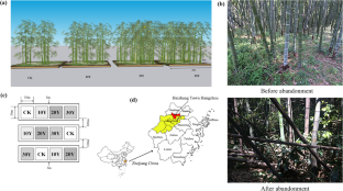 Abandonment of Moso Bamboo (Phyllostachys pubescens) Plantations Could Lead to Stand Structural Complications and Changes in Soil Properties and Microbial Community