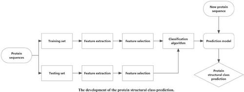 Prediction of Protein Structural Classes: Features Extraction to Classification Algorithm