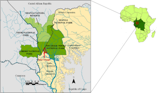 Path To Acceptance and Refined Practices for Habituating Western Lowland Gorillas.