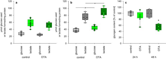 The nephrotoxin ochratoxin a impairs resilience of energy homeostasis of human proximal tubule cells.