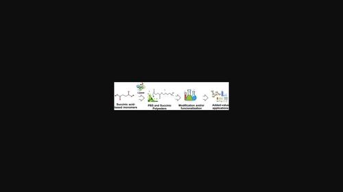 Current Status and Perspectives on the Green Synthesis of Succinic Polyesters for Value-Added Applications