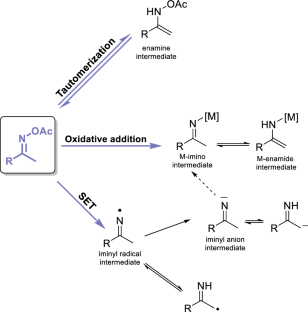 Oxime Esters: Flexible Building Blocks for Heterocycle Formation