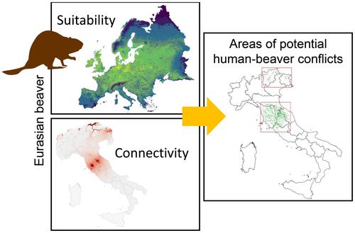 Environmental suitability and potential range expansion of the Eurasian beaver in Italy