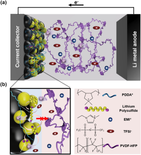 High-performance lithium–sulfur batteries utilizing charged binder and solid-state ionogel electrolyte